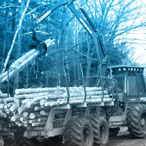 A forwarder forestry vehicle.